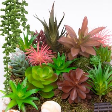 Imagem de Niuohoy 16 peças de plantas suculentas artificiais de plástico sintético sortido em tons verdes e coloridos para artesanato DIY, paredes florais, casa, jardim, decoração de escritório, decorações de