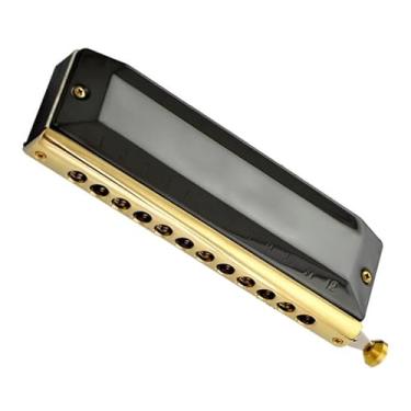 Imagem de Gaita profissional de 12 furos e 48 tons, gaita cromática profissional, pente de metal para instrumento musical