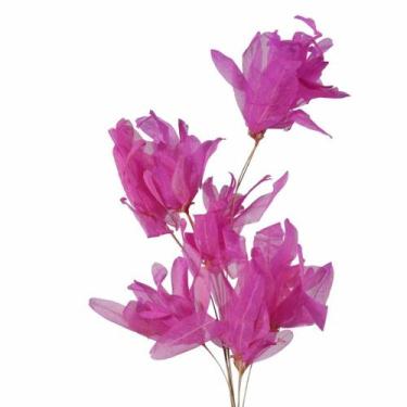 Imagem de Planta Seca Pimentinha no Espeta Rosa - Pense Flores