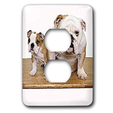 Imagem de 3dRose lsp_8578_6 Buldogue Britânico Macho 2 Tomadas Tampa