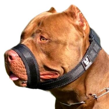 Imagem de A Melhor Focinheira Para Cachorro Do Mercado a Mais Confortável e Segu