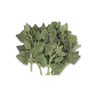 Imagem de 100 Sementes De Espinafre Nova Zelândia - SEEDS