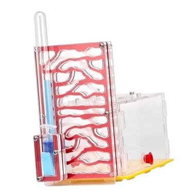 Imagem de IEUDNS Caixa de exibição de de em acrílico com alimentador, brinquedos engraçados, habitat, caixa de reprodução para amantes, mesa de, Vermelho