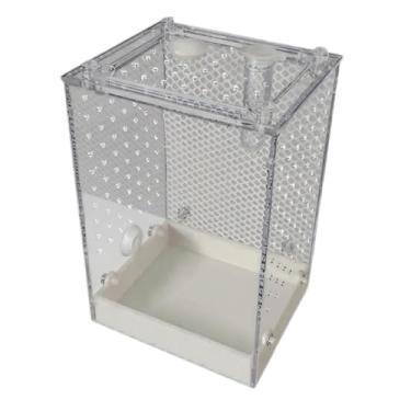 Imagem de Rrlihjgu Terrário Para Aranhas Saltadoras | Caixa De Observação Transparente Para Besouros | Caixa Desmontável de Criação de Aranhas para Formigas, Grilos, Baratas, Besouros e Uso em Interior e