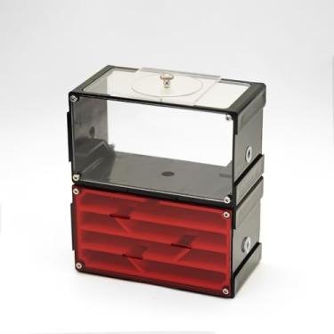 Imagem de AntNest Fazenda de Formigas Adulto Acrílico Transparente com Formigas Vivas, Queen e Ninho - Educação e Observação para Crianças e Entusiastas