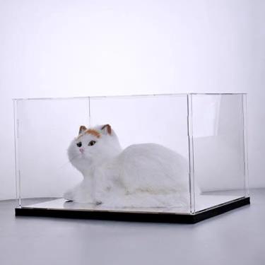 Imagem de Grande caixa de exibição de acrílico, recipiente de armazenamento de lembrança transparente, organizador de brinquedos à prova de poeira, suporte de troféu com base preta, 60 x 60 x 60 cm, perfeito