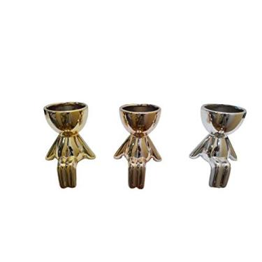 Imagem de Kit 3 Vasos Decorativos Para Suculentas e Cactos Robert Plant