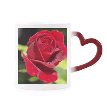 Imagem de Caneca vermelha escura com rosas e flores sensíveis ao calor Caneca vermelha que muda de cor