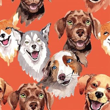 Imagem de VEELIKE Papel de parede laranja caprichoso para cães descascar e colar papel de parede legal de raças de cães para quarto de crianças sala de jogos 17,7 x 354 polegadas removível autoadesivo cachorro