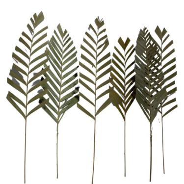 Imagem de 5 Folha de Areca Seca Desidratada Decoração Arranjo Floral Buque De Ca
