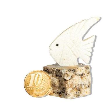 Imagem de Peixe Branco Esculpido Dolomita Natural 50 a 100g Média 6cm - Cristais
