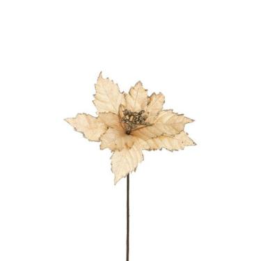 Imagem de Haste Decor Champagne 23 X 50Cm - BELA FLOR