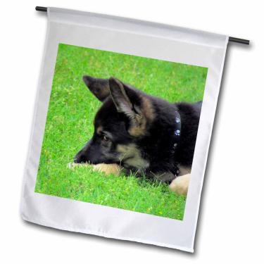 Imagem de 3dRose fl_21185_1 Bandeira de jardim para filhotes de pastor alemão, 30 x 45 cm