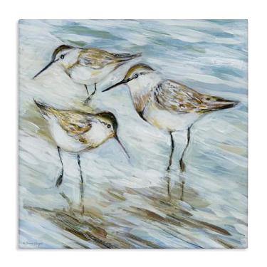 Imagem de Stupell Industries Wetlands Sandpiper Trio Canvas Wall Art Design por Susan Winget, 61 x 61 cm