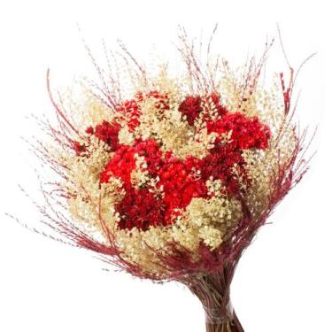 Imagem de Buque Flor Seca Desidratada sementinha vermelha - Pense Flores