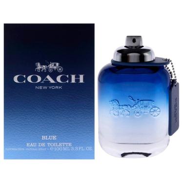 Imagem de Perfume   Blue para homens em spray EDT 100ml