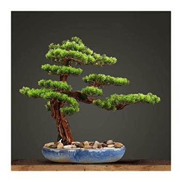 Imagem de Bonsai artificial para interior, plantas artificiais, bonsai artificial, vaso de bonsai falso com vaso de flores de cerâmica azul, simulação de jardim, planta falsa, árvore de bonsai artificial