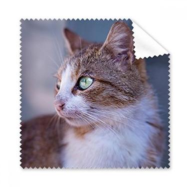 Imagem de Limpador de óculos de tela de telefone com perfil de animal marrom gato selvagem 5 peças