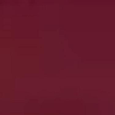 Imagem de Tinta PVA Fosca para Artesanato Acrilex 100 ml Vinho - 565