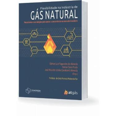 Imagem de Flexibilidade Na Industria De Gás Natural - Synergia, 3