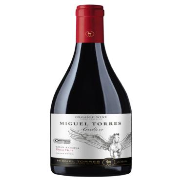Imagem de VINHO MIGUEL TORRES ANDICA PINOT NOIR TINTO 750 ML