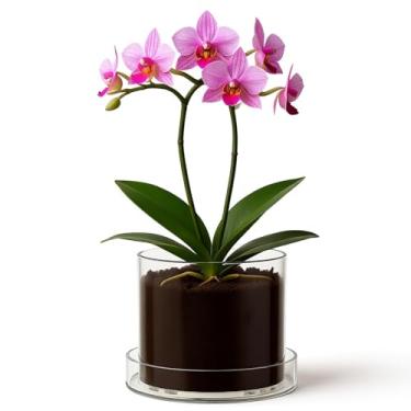 Imagem de Toyosport Vaso transparente com bandeja, vaso de orquídea de acrílico de 15,24 cm, vaso de flores transparente com orifícios de drenagem, presente ideal