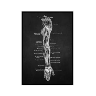 Imagem de Fundo preto anatomia humana arte médica impressões em tela imagens esqueleto músculo pôster vintage educação pintura arte decoração de parede (SKU4,20.3x30.5 cm = (20x30cm), moldura preta para fotos)