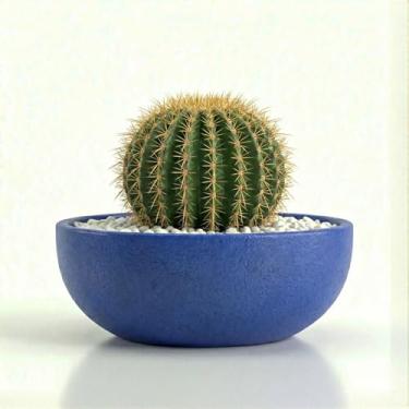 Imagem de Genérico, Cimento, Vaso Quadrado, Cinza, 11x12x15 cm, Acabamento Liso, Decorativo para Plantas, Elegante para Jardim e Ambientes Internos