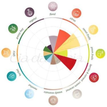 Imagem de Lúpulo - Mosaic (50G) - Lnf