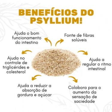 Imagem de Psyllium fibras 100% Puro Pacote 500 grs Total Food Fibra 100%