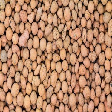 Imagem de Terra nobre argila expandida 500g