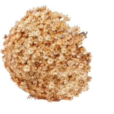 Imagem de SEMPRE VIVAS FLORZINHAS DESIDRATADAS PARA LEMBRANCINHAS ARRANJOS DE MESA CASAMENTOS MAÇO ORGANIZADO(CHAMPANHE/BEGE)