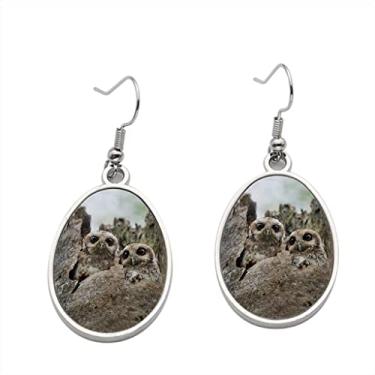 Imagem de Brinco de coruja com pernas nuas ou coruja guicho cubana Gymnoglaux Lawrencii 2 - Brincos pendentes para meninas - Presente de festa de aniversário dos namorados