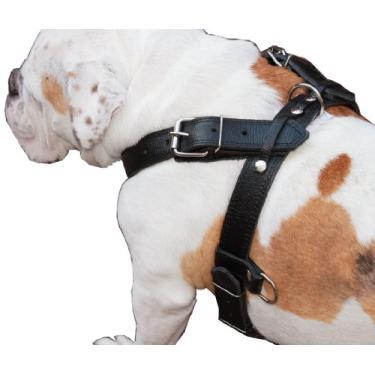 Imagem de Peitoral de couro preto genuíno para passear para cães GG. 83,8 cm - 94 cm Peito 3,8 cm Alças largas, acolchoadas