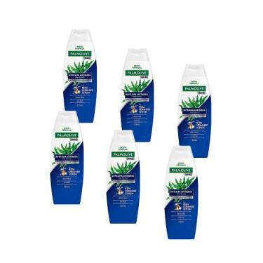Imagem de Shampoo Palmolive Anticaspa For Men Cabelo Frágil Proteína Tripla 80%
