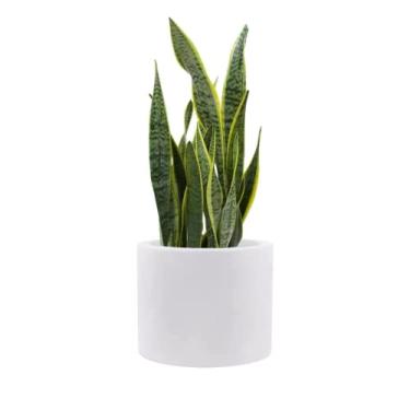 Imagem de Vaso de cilindro de plástico 28 x 35 cm. Design de cilindro redondo para vaso decorativo para plantas internas e externas Modern Cylinder Flower Pot branco