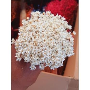 Imagem de Flor Sempre-Viva Natural Desidratada Kit 300 600 1200 Flores – Decoração Festa Casamento e Arranjos Artesanais (Cor natural , Branca off-wite,600 flores atacado)