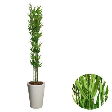 Imagem de Bambu Artificial Com Vaso Polietileno 160cm Decorativo Casa - - Intcom
