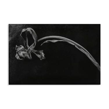 Imagem de Stupell Industries Arte de parede em tela de flor de colapso suave, design por Amy Carroll, 61 x 91 cm