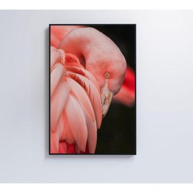 Imagem de Quadro Flamingo 80x120 Cm Vidro Impresso
