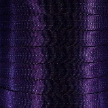 Imagem de West Coast Corda de nylon tubular de 2,5 cm – Premium resistente leve com resistência à ruptura de 1,814 kg – tiras para uso externo para escalada e segurança (roxo, 100 jardas)