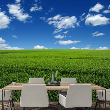 Imagem de Papel de Parede Campo Paisagem Natureza Sala Painel - 134pcp - Allodi