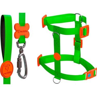 Imagem de Kit H 3 em 1 Com Peitoral H Para Cachorro, Guia Tradicional e QR Code Localizador (Lemonade, P)