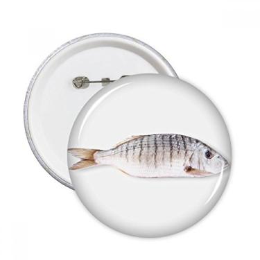 Imagem de Broche redondo encaracolado para atividade de peixe oceano, 5 peças