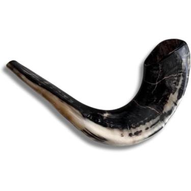 Imagem de Shofar de chifre de carneiro polido autêntico e kosher de Israel (40.6 cm -45.7 cm)