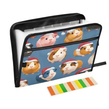 Imagem de CEBUGI Pasta expansível com 13 bolsos, organizador de arquivos sanfonado à prova d'água com etiquetas tamanho A4, organizador de documentos de papel para escola, material de escritório