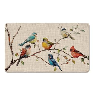 Imagem de Livcoz Tapete de porta da frente de boas-vindas primavera verão pássaros cardeal ramos de pássaro azul tapete decorativo antiderrapante tapete de entrada, casa de fazenda perfil baixo interior