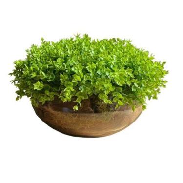 Imagem de Arranjo Grande Centro de Mesa Vaso Incolor com Verdinho - Decore Fácil