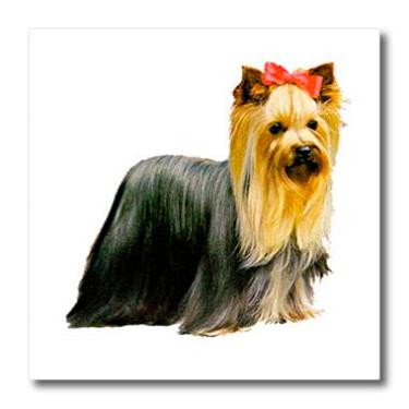 Imagem de 3dRose ht_520_1 Yorkshire Terrier-ferro de transferência de calor, 20 x 20 cm, multicolorido