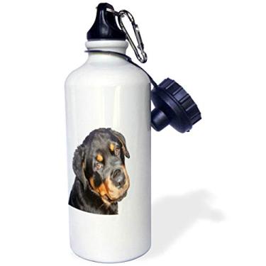 Imagem de 3dRose Garrafa de água isolada Rottweiler Filhote fêmea fazendo contato visual